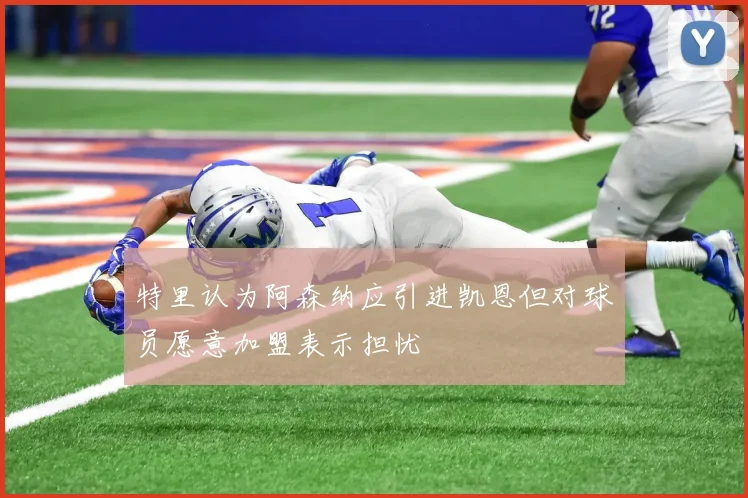 特里认为阿森纳应引进凯恩但对球员愿意加盟表示担忧